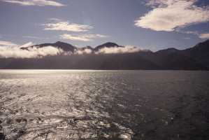 FIORDLAND-NATIONAL-PARK-2019 (199)